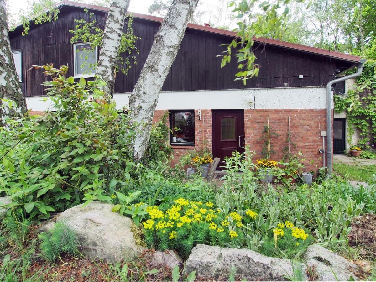 Ferienwohnung Am Duemmer See Dummer 外观 照片