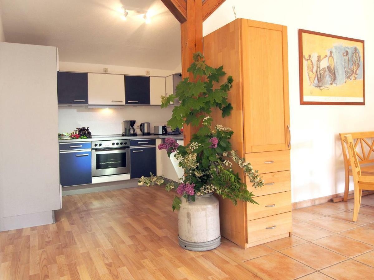 Ferienwohnung Am Duemmer See Dummer 外观 照片