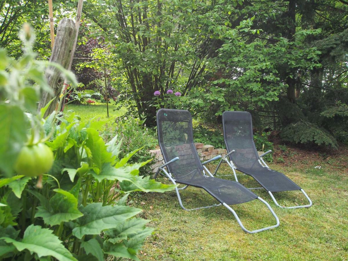 Ferienwohnung Am Duemmer See Dummer 外观 照片