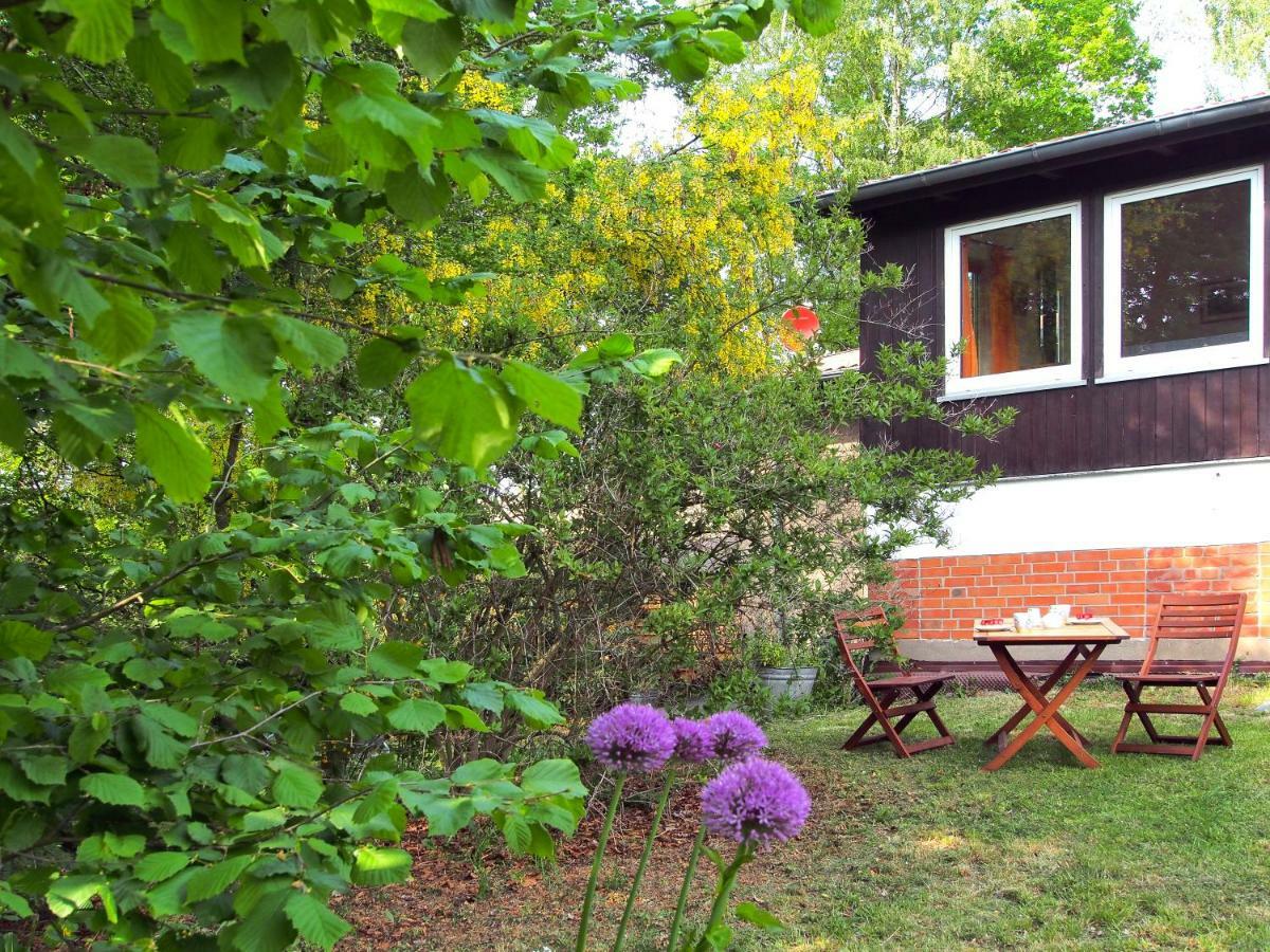 Ferienwohnung Am Duemmer See Dummer 外观 照片